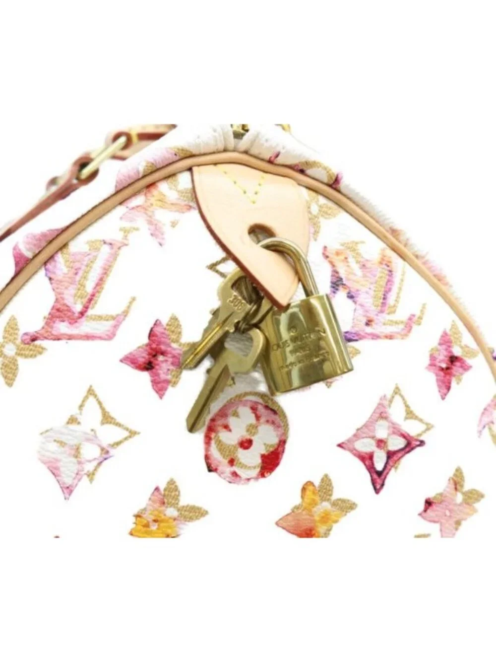 Louis Vuitton Monogram Water Color Vvn Speedy 30 Boston